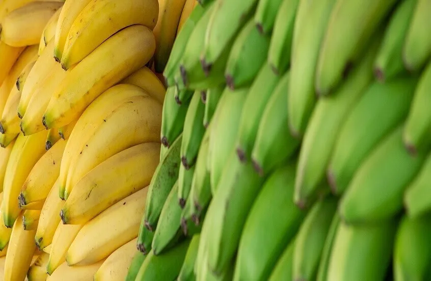 من عليه تجنب تناول الموز؟